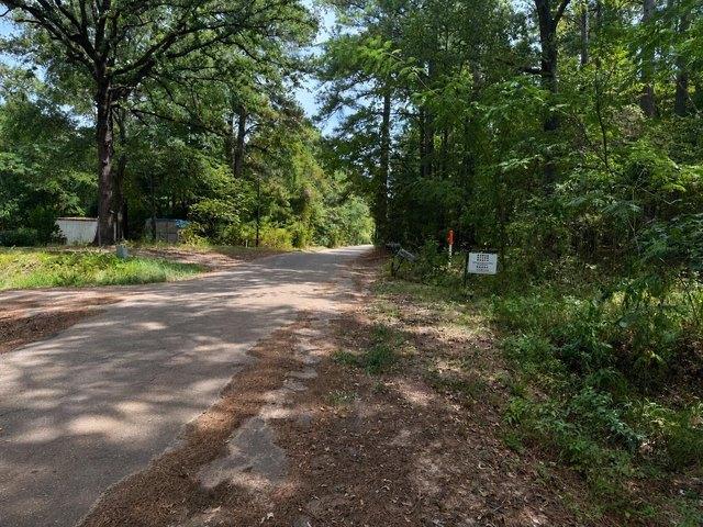 Land for sale in Diana, Texas
