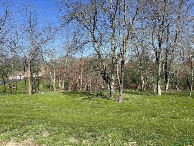 Land for sale in Galena, Jo Daviess County