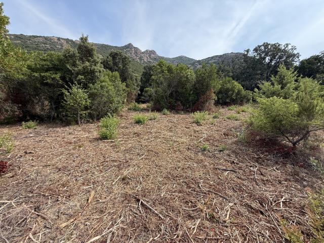 Terrain vente à Calvi, Galéria