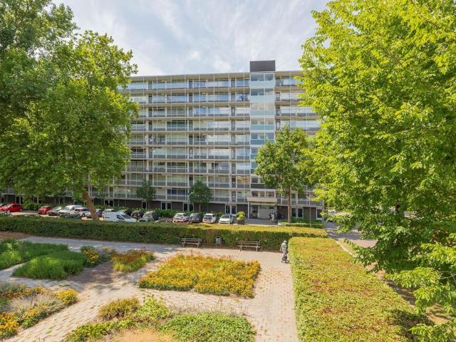 Appartement te huur in Haarlem