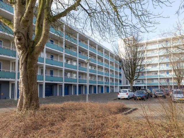 Appartement te huur in Weesp