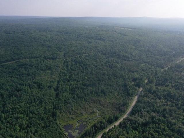 Land for sale in Abbot, Maine