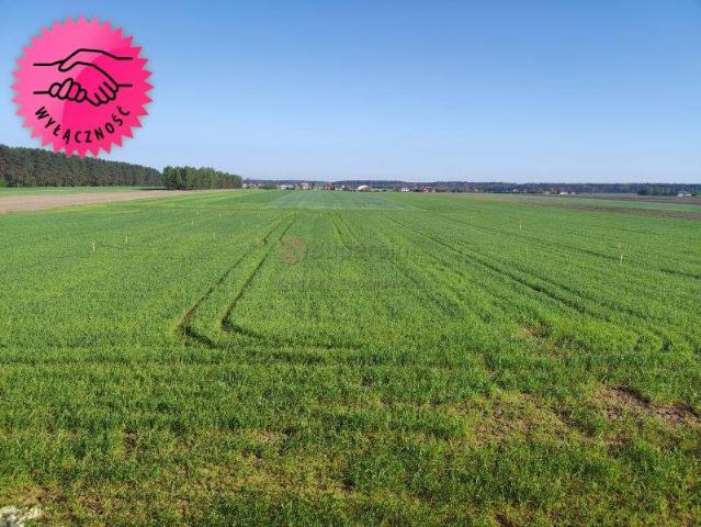 Grunt na sprzedaż w Galewice, Łódzkie