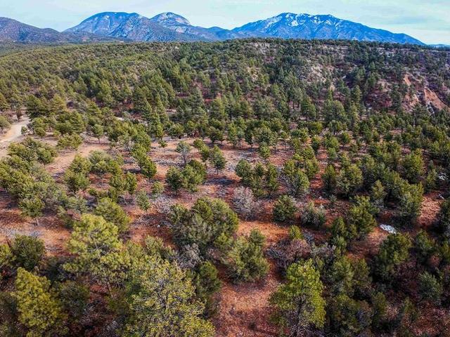 Land for sale in New Mexico