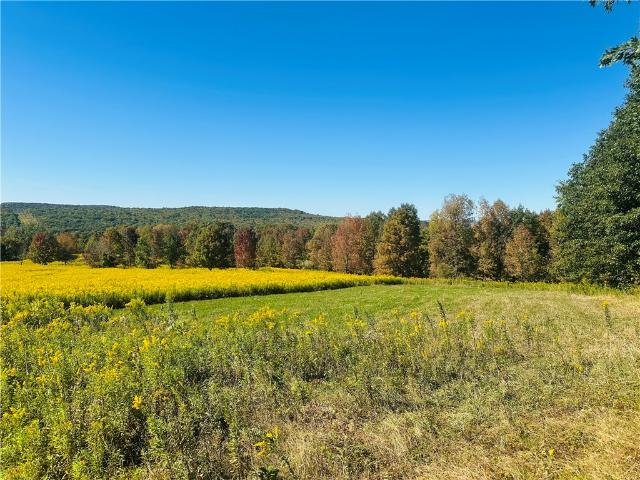 Land for sale in Sidney, New York