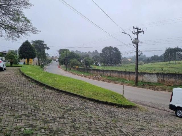 Galpão venda em Região Geográfica Imediata de Curitiba, Região Metropolitana de Curitiba