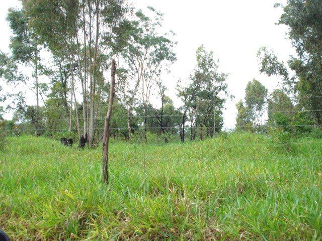 Galpão venda em Região Imediata de São Carlos, Dourado