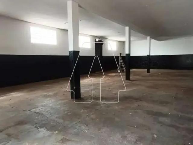 Galpão aluguel em Região Imediata de Araçatuba, Araçatuba