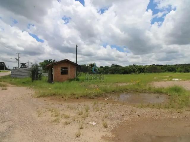 Galpão aluguel em Araucária, Região Geográfica Intermediária de Curitiba