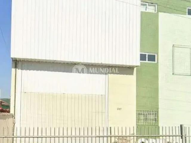 Galpão aluguel em Municípios, Balneário Camboriú