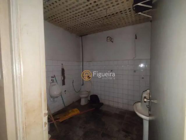 Galpão aluguel em Barretos, Região Geográfica Intermediária de Ribeirão Preto