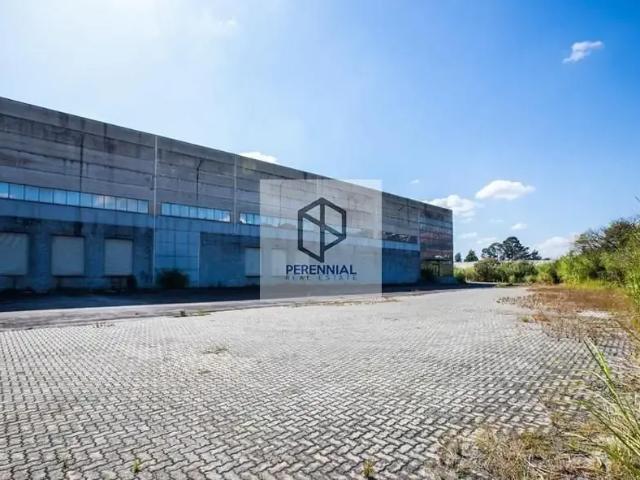 Galpão aluguel em Região Imediata de São Paulo, Região Metropolitana de São Paulo