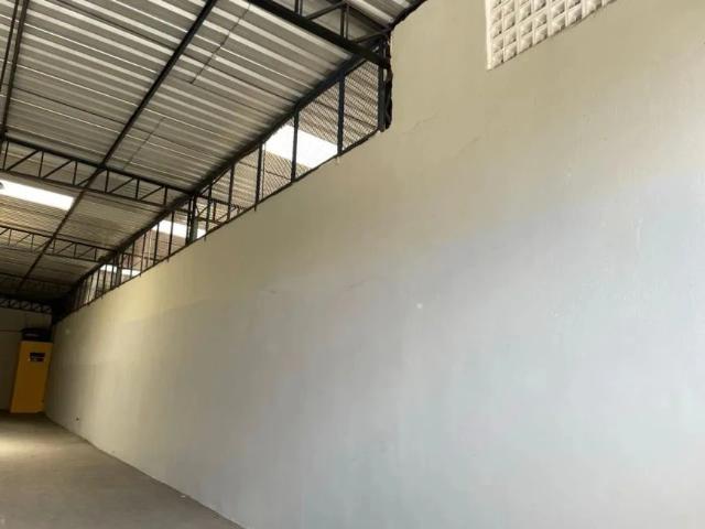 Galpão aluguel em Região Geográfica Imediata de Belém, Belém