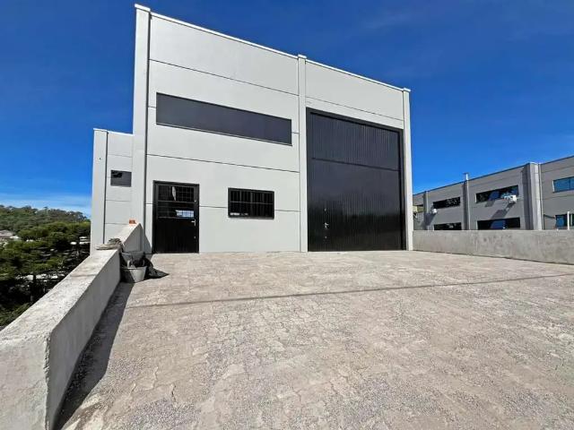 Galpão aluguel em Região Geográfica Imediata de Bento Gonçalves, Bento Gonçalves