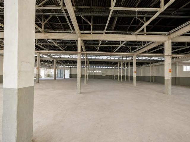 Galpão aluguel em Região Geográfica Imediata de Blumenau, Blumenau