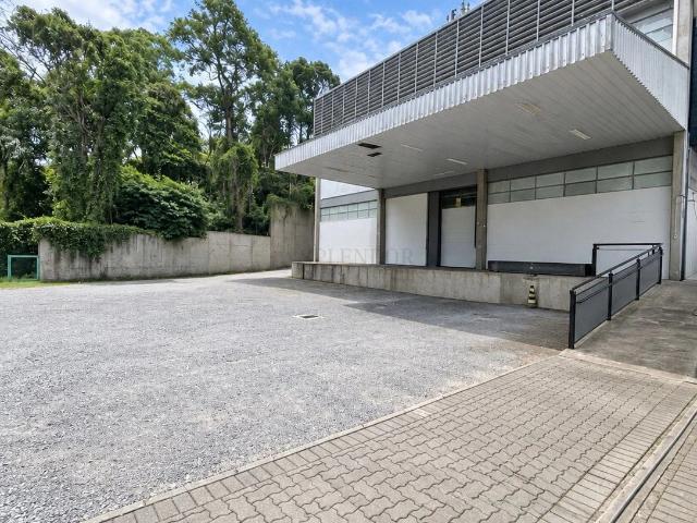 Galpão aluguel em Região Geográfica Imediata de Blumenau, Blumenau