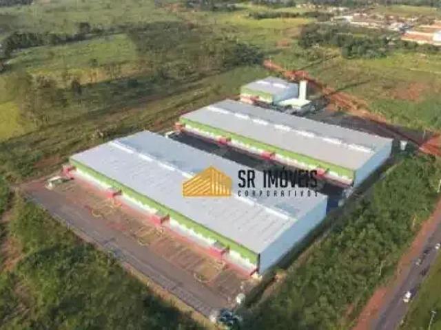 Galpão aluguel em Região Geográfica Imediata do Distrito Federal, Região Integrada de Desenvolvimento do Distrito Federal e Entorno