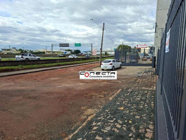 Galpão aluguel em Campinas