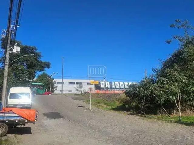 Galpão aluguel em Região Geográfica Imediata de Caxias do Sul, Caxias do Sul