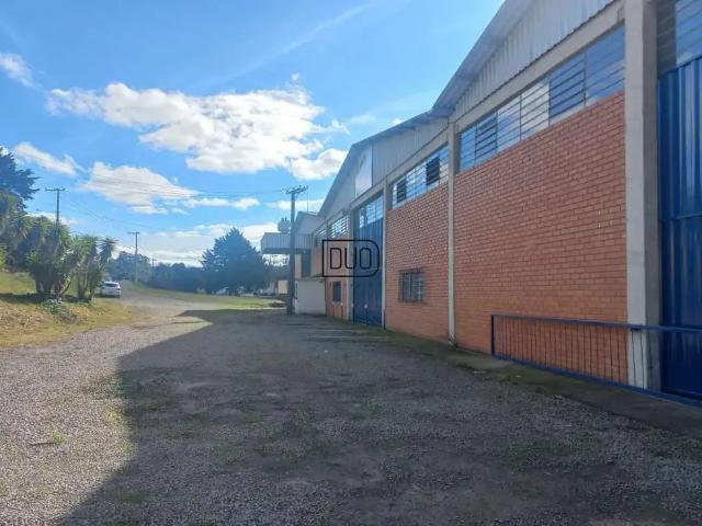 Galpão aluguel em Região Geográfica Imediata de Caxias do Sul, Caxias do Sul