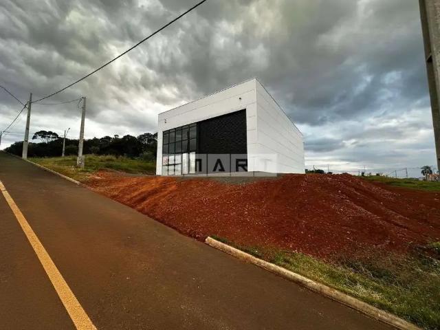 Galpão aluguel em Região Geográfica Imediata de Chapecó, Chapecó