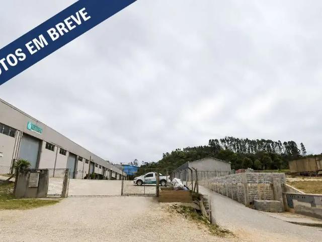 Galpão aluguel em Região Geográfica Imediata de Curitiba, Região Metropolitana de Curitiba