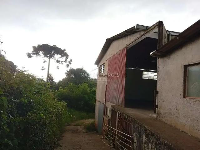 Galpão aluguel em Região Geográfica Imediata de Curitiba, Região Metropolitana de Curitiba