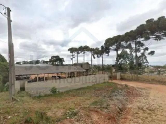 Galpão aluguel em Região Geográfica Imediata de Curitiba, Região Metropolitana de Curitiba