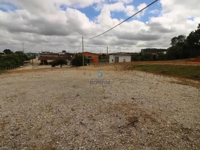 Galpão aluguel em Região Geográfica Imediata de Curitiba, Região Metropolitana de Curitiba