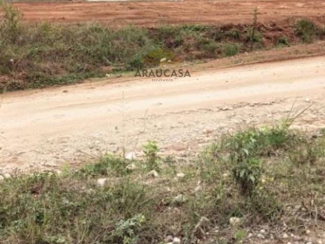 Galpão aluguel em Região Geográfica Imediata de Curitiba, Região Metropolitana de Curitiba