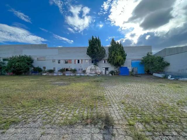 Galpão aluguel em Região Geográfica Imediata de Curitiba, Região Metropolitana de Curitiba