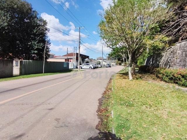 Galpão aluguel em Região Geográfica Imediata de Curitiba, Região Metropolitana de Curitiba