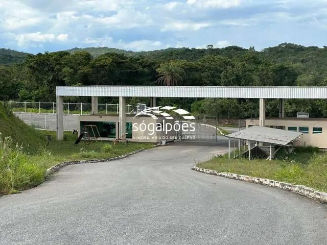 Galpão aluguel em Região Geográfica Imediata de Belo Horizonte, Região Metropolitana de Belo Horizonte
