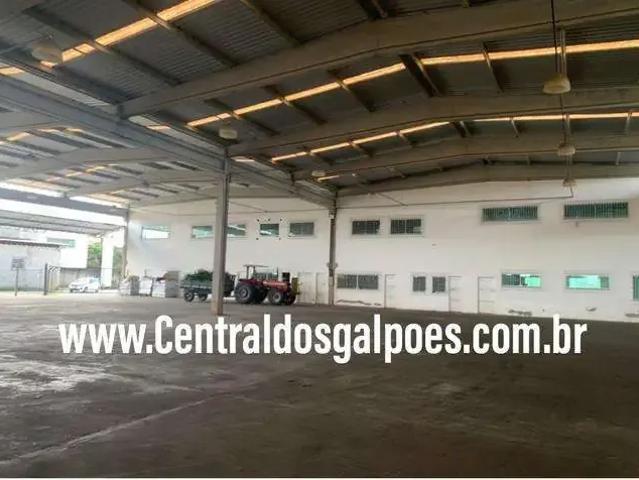 Galpão aluguel em Região Geográfica Imediata de Feira de Santana, Região Metropolitana de Feira de Santana