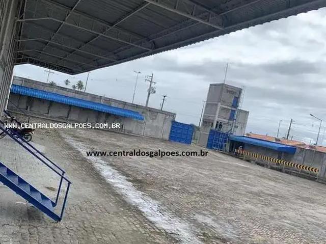 Galpão aluguel em Região Geográfica Imediata de Feira de Santana, Região Metropolitana de Feira de Santana