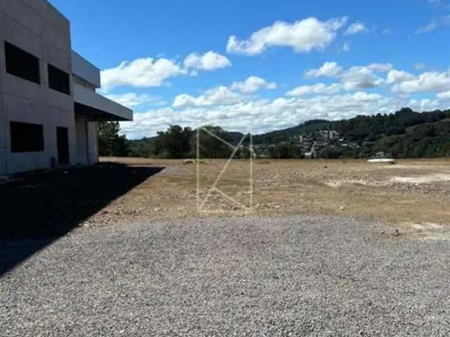 Galpão aluguel em Região Geográfica Imediata de Caxias do Sul, Flores da Cunha