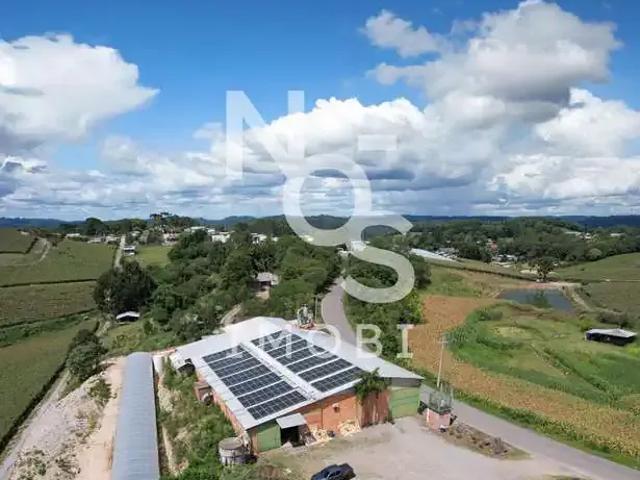Galpão aluguel em Região Geográfica Imediata de Caxias do Sul, Flores da Cunha