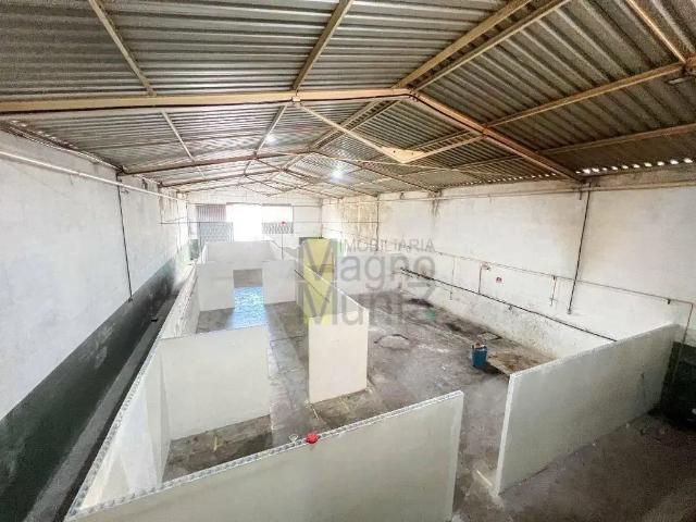 Galpão aluguel em Região Geográfica Imediata de Fortaleza, Fortaleza