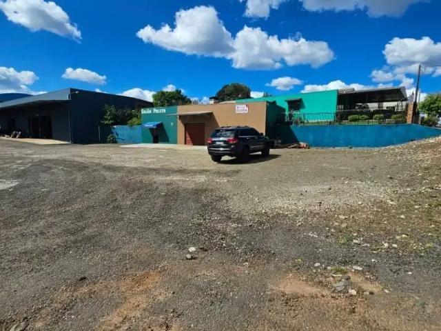 Galpão aluguel em Região Geográfica Imediata de Guarapuava, Guarapuava