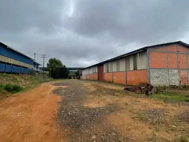 Galpão aluguel em Região Geográfica Imediata de Guarapuava, Guarapuava