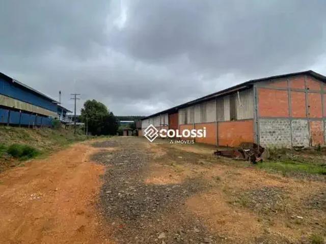 Galpão aluguel em Região Geográfica Imediata de Guarapuava, Guarapuava