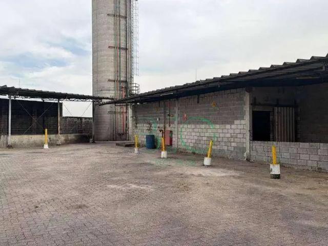 Galpão aluguel em Região Imediata de São Paulo, Região Metropolitana de São Paulo