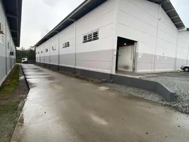 Galpão aluguel em Região Geográfica Imediata de Blumenau, Indaial