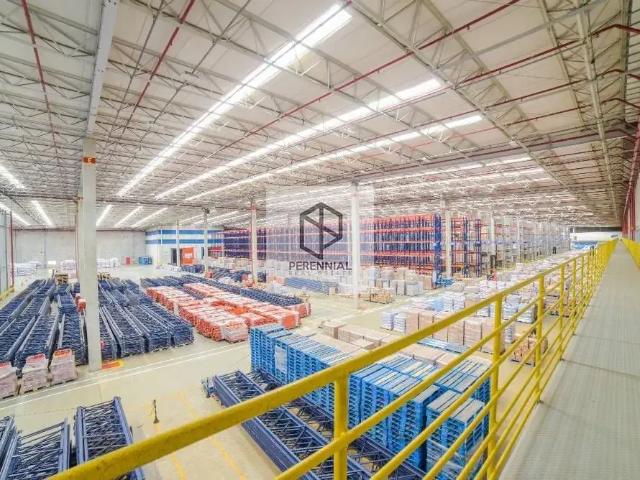 Galpão aluguel em Região Geográfica Imediata do Recife, Região Metropolitana do Recife
