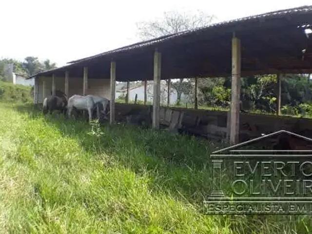 Galpão aluguel em Região Imediata de São José dos Campos, Região Metropolitana do Vale do Paraíba e Litoral Norte