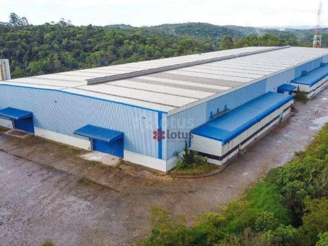 Galpão aluguel em Jarinu