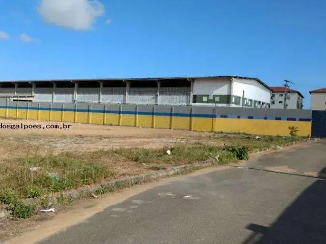 Galpão aluguel em Região Geográfica Imediata de Salvador, Região Metropolitana de Salvador