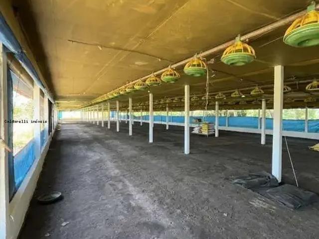 Galpão aluguel em Região Geográfica Imediata de Londrina, Londrina