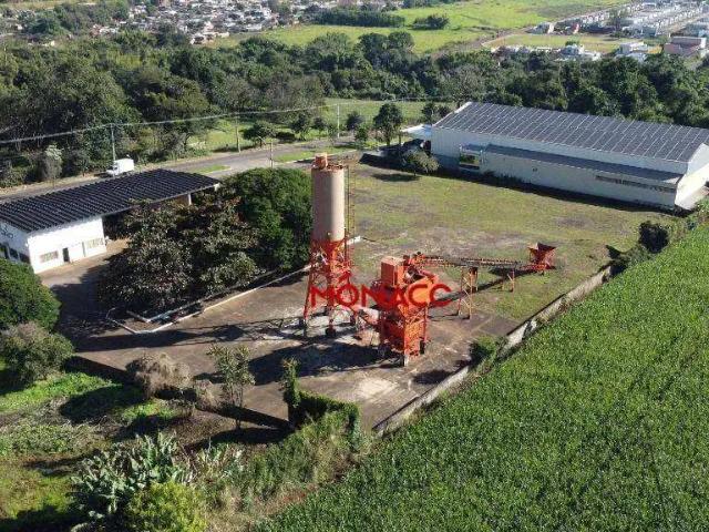 Galpão aluguel em Região Geográfica Imediata de Londrina, Londrina