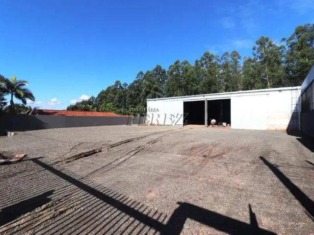 Galpão aluguel em Região Geográfica Imediata de Londrina, Londrina
